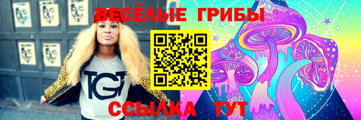 Иваново  Галлюциногенные грибы ЛСД  Вход с VPN 