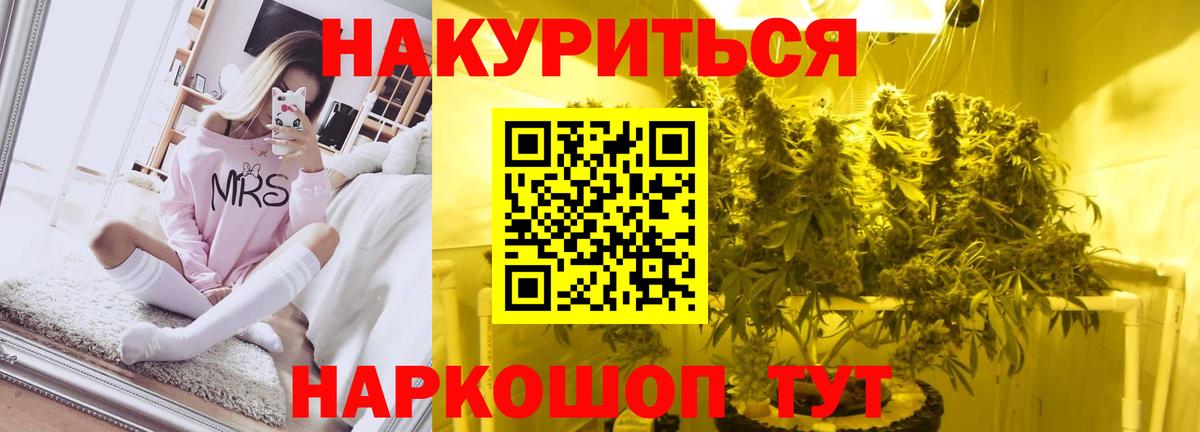 МАРИХУАНА сатива Иваново
